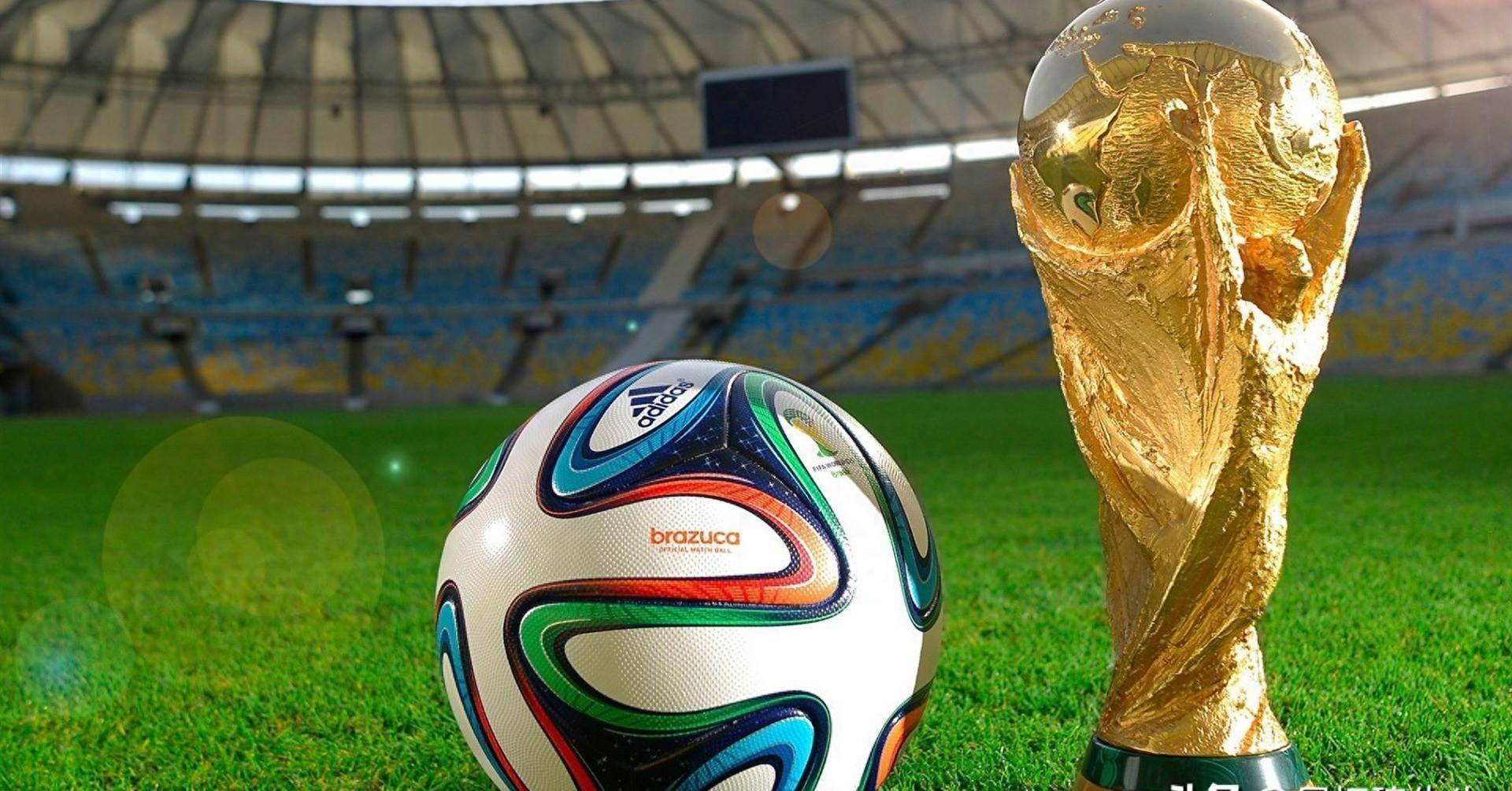 他生活的方 他生活的方